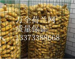 圈玉米網(wǎng)荷蘭網(wǎng)電焊網(wǎng)鍍鋅電焊網(wǎng)噴塑荷蘭網(wǎng)