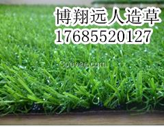 供應煙臺幼兒園仿真草坪_塑料草坪（圖）