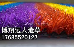 供應(yīng)萊蕪幼兒園草坪，學(xué)校跑道草坪批發(fā)