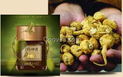 瑪咖年賺100萬【卡祖瑪咖】零風