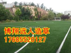 足球場人造草坪清除與維護（圖）