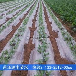 保定蔬菜膜下滴灌工程材料生產廠家