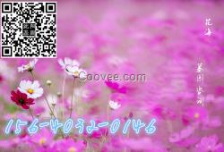 沈陽東山公墓八寶嶺公墓雙龍臺墓園在沈陽么