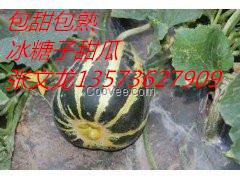 冰糖子甜瓜