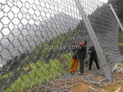 環形網_安平騰和_環形網廠家