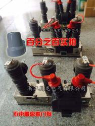 ZW32看門狗真空斷路器