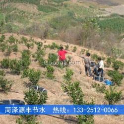 荊州山地柑橘滴灌施工造價