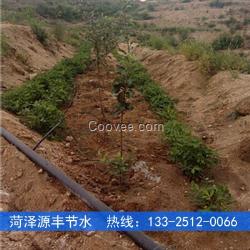 成都山區柑桔滴灌施肥技術報價