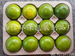嘉信紙托(在線咨詢)|紙漿模塑|紙漿模塑