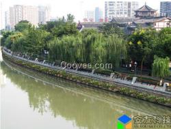 供应河道绿化，河岸绿化景观设计