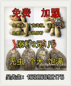 義烏聯(lián)邦商貿(mào)(在線咨詢)、內(nèi)蒙古菩提籽、