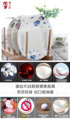 紳士虎骨瓷碗卡通一家四口盤