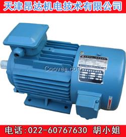 YTPS系列變頻調速三相異步電動機 昂達