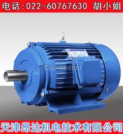 YTSJ系列緊湊型變頻調(diào)速三相異步電動(dòng)機(jī)