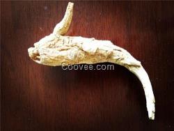 短西洋參,徐匯西洋參,安可森(在線咨詢)