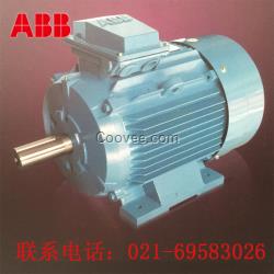 ABB變頻電機QABP 80M4A