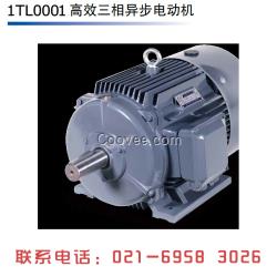 西門子貝得電機1TL0001-160L