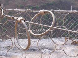 環形網、安平騰和、環形網廠家