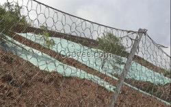 安平騰和(在線咨詢),環形網,環形網施工