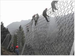 環形網|安平騰和(圖)|環形網廠家