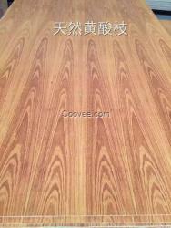樺木面刀模板 楊木芯素板 桉木芯家具板