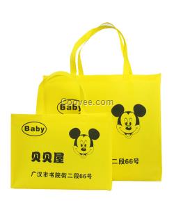 成都環(huán)雅無紡布袋訂做廠家批發(fā)