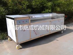 胡蘿卜清洗機