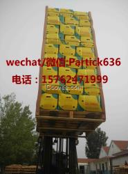 常年加工出口級保鮮姜，風(fēng)干姜。