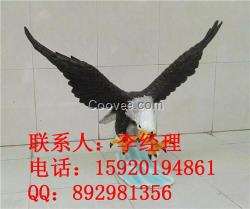 陽江玻璃鋼雕塑、水果玻璃鋼雕塑、昆蟲玻璃