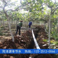 雅安獼猴桃噴灌PE毛管PE滴灌管型號規(guī)格