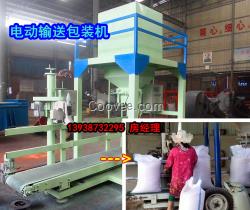 玉米 包裝機(jī)/手動(dòng)除皮功能 定量稱重/