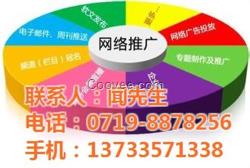 網站推廣_十堰企普科技(圖)_十堰網站推
