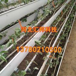 蔬菜種植槽廠家