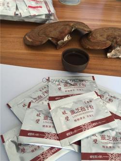 破壁靈芝孢子粉_破壁靈芝孢子粉_樂(lè)農(nóng)食品