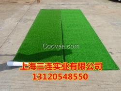 供應(yīng)增金草