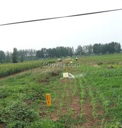 農田出水口_出水口_九州通給水設備(圖)