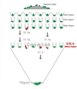 包裝組合秤、廣東組合秤、排骨包裝組合秤