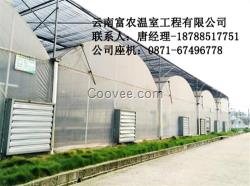 云南養殖大棚_云南富農棚業_云南養殖大棚