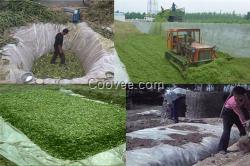 鍘草機_恒力機械(圖)_中型鍘草機
