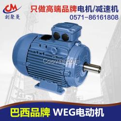 上海WEG電動機代理|WEG萬高電機