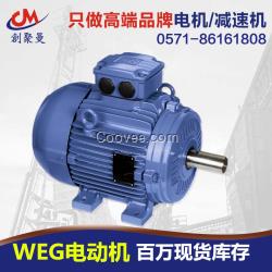 德國WEG電動機通用鑄鐵W21電機馬達一