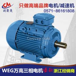 南通萬高WEG三相異步電動機工廠直銷百萬
