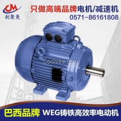 WEG電動(dòng)機(jī)馬達(dá)供應(yīng)商|WEG超率鑄