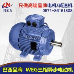 WEG電動機變頻放心省心|南通萬高WEG
