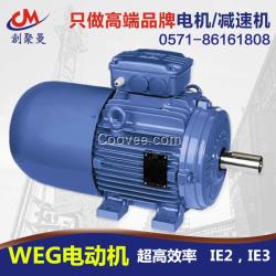 WEG電動機|WEG三相異步全封閉自扇冷