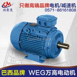 杭州國際品牌,WEG電機,現貨,價優