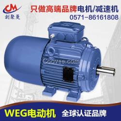 weg電機(jī)江浙滬WEG變頻電動(dòng)機(jī)馬達(dá)放心