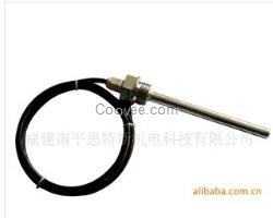 WZP熱電阻傳感器