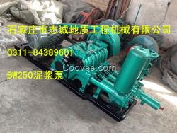 BW250泥漿泵廠家，250泥漿泵