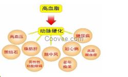 食療方案配方介紹